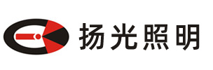 揚(yáng)州中天利新材料股份有限公司